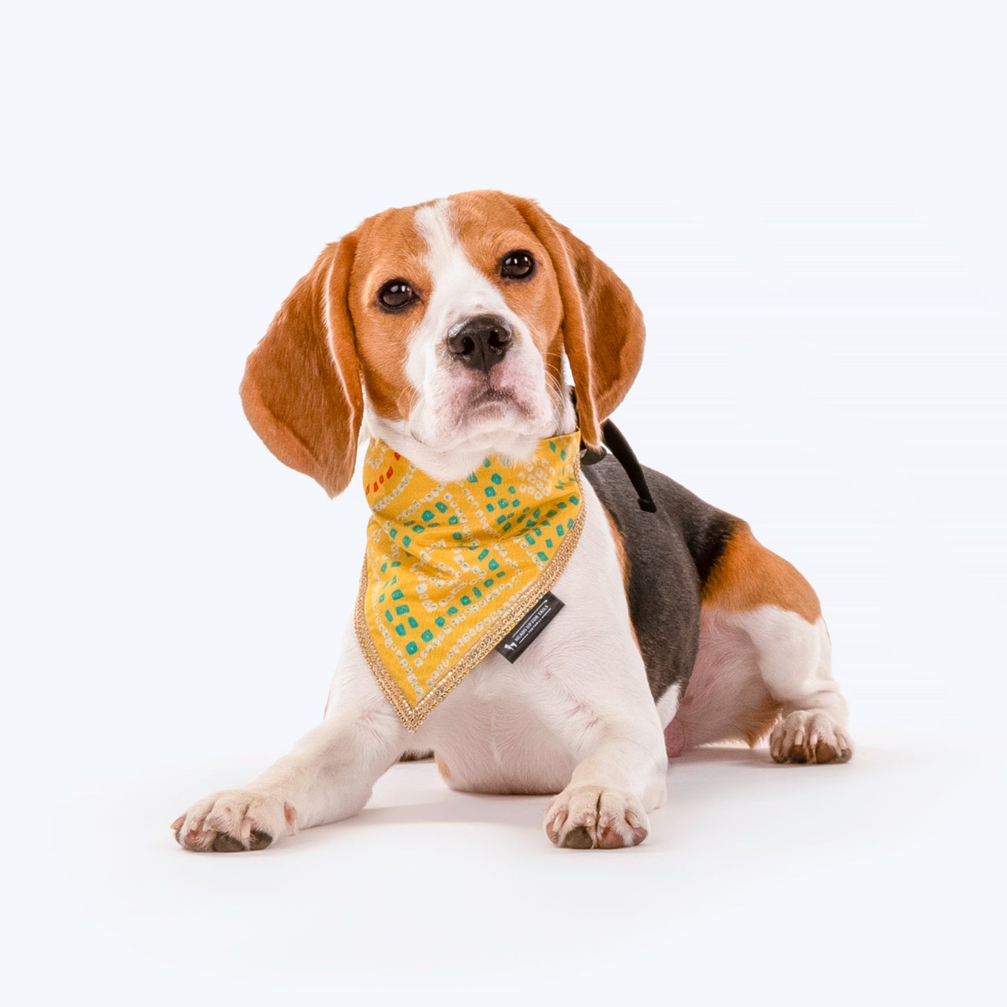 HUFT Festive Bandhej Bling Dog Bandana - Yellow - Heads Up For Tails