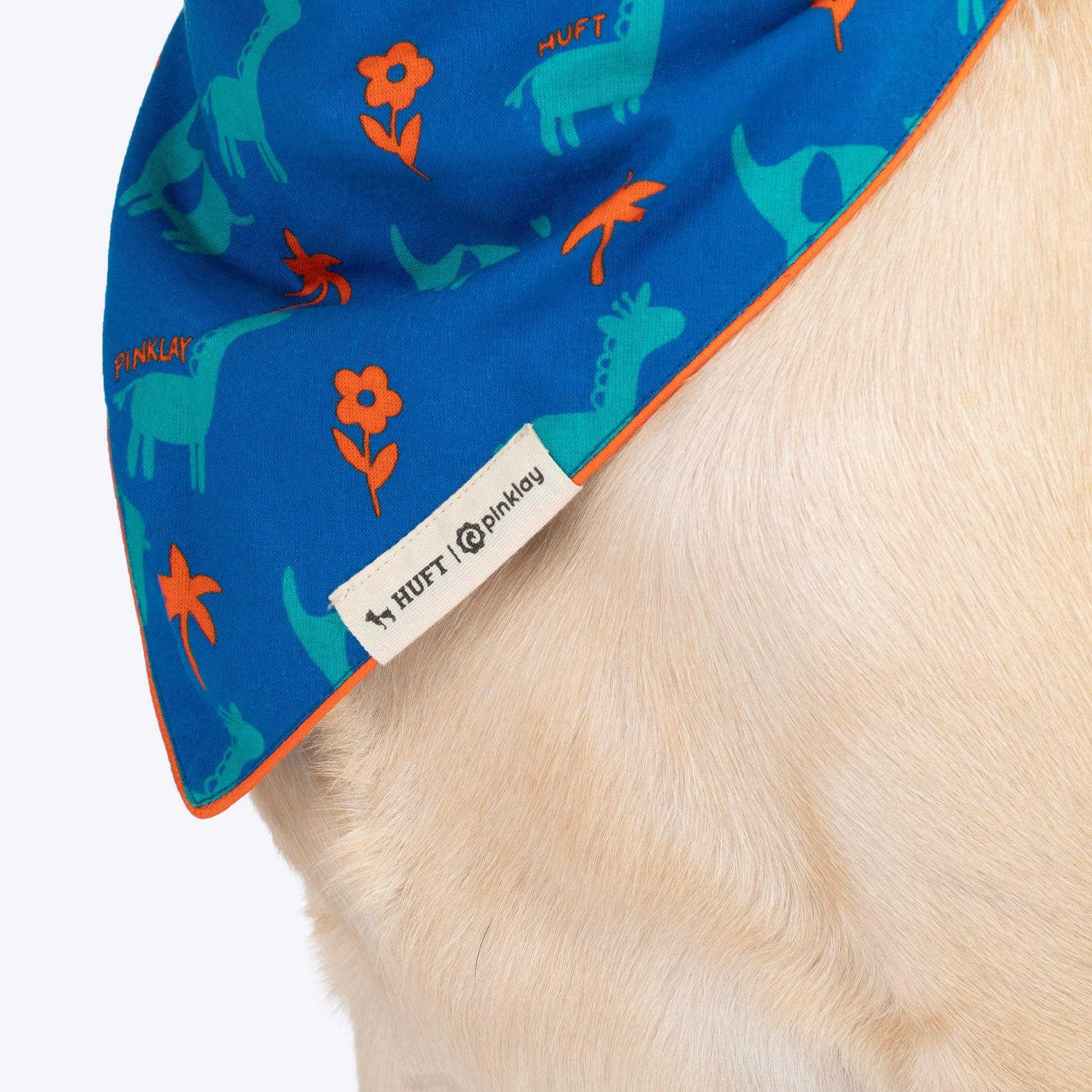 HUFT X Pinklay Strut In Stripes Knot Bandana For Dog - Blue & Orange - Heads Up For Tails