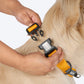 HUFT Personalised Basics Dog Collar - Yellow - Heads Up For Tails