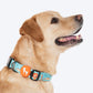 HUFT Jungle Safari Collar For Dog - Mint Green - Heads Up For Tails