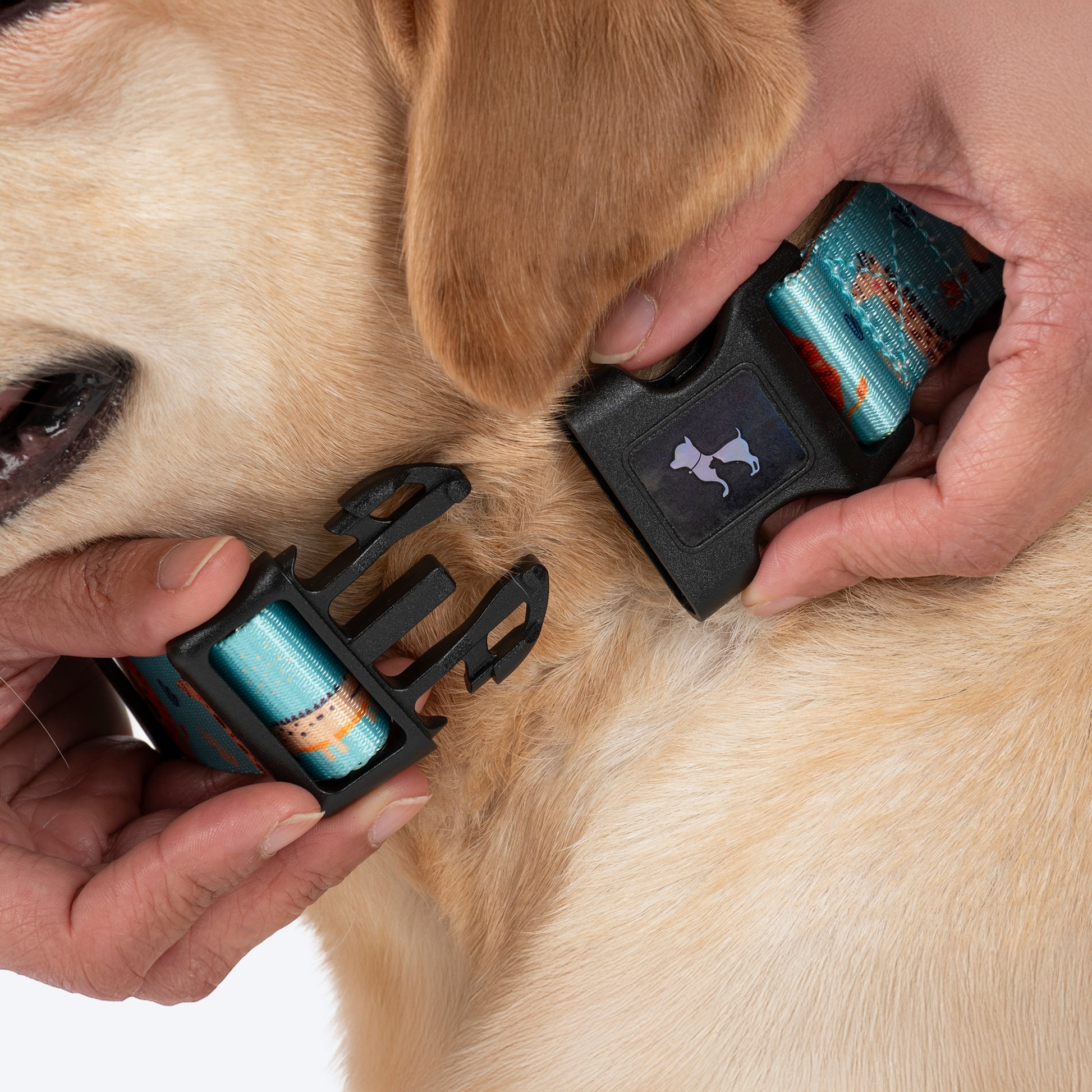 HUFT Jungle Safari Collar For Dog - Mint Green - Heads Up For Tails