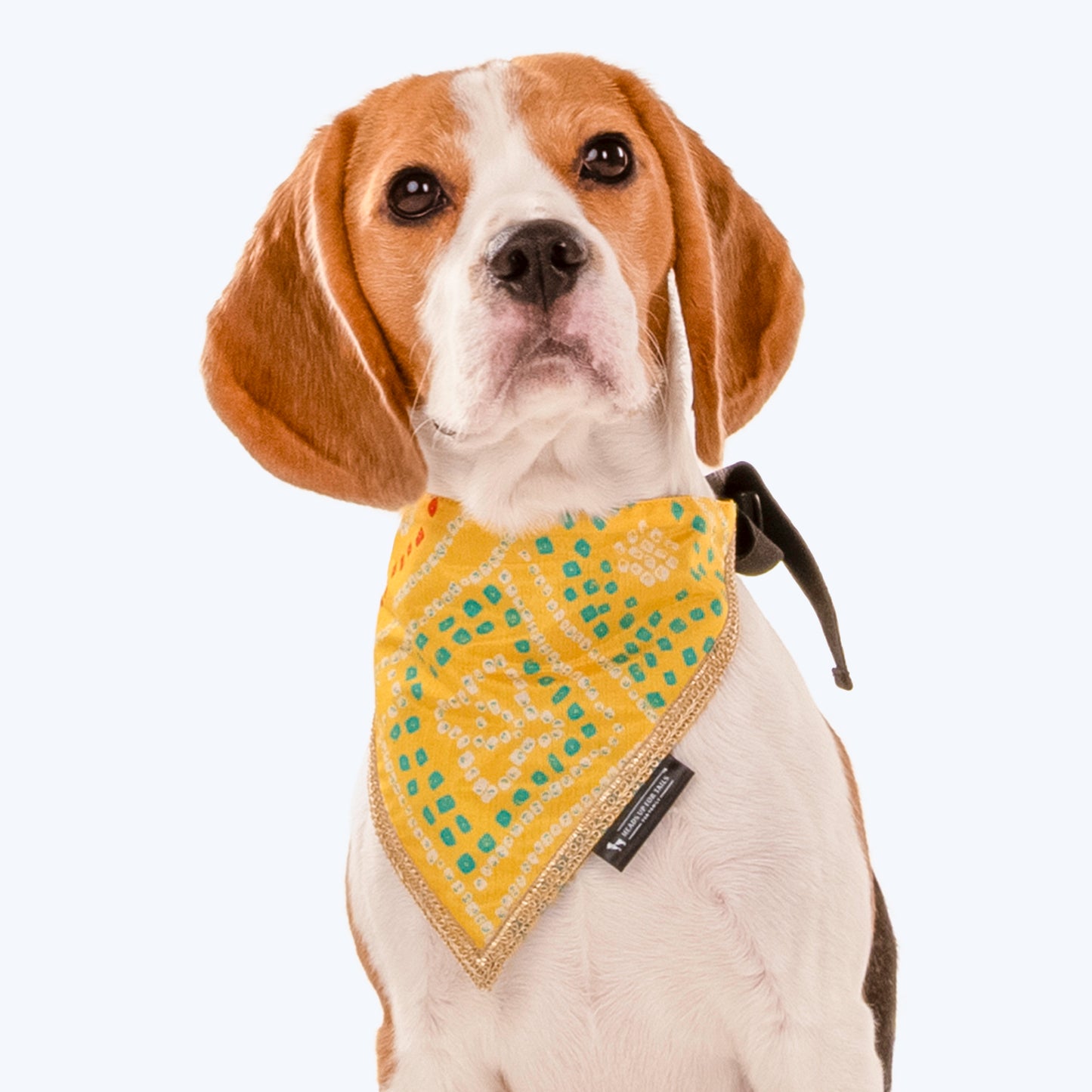 HUFT Festive Bandhej Bling Dog Bandana - Yellow - Heads Up For Tails