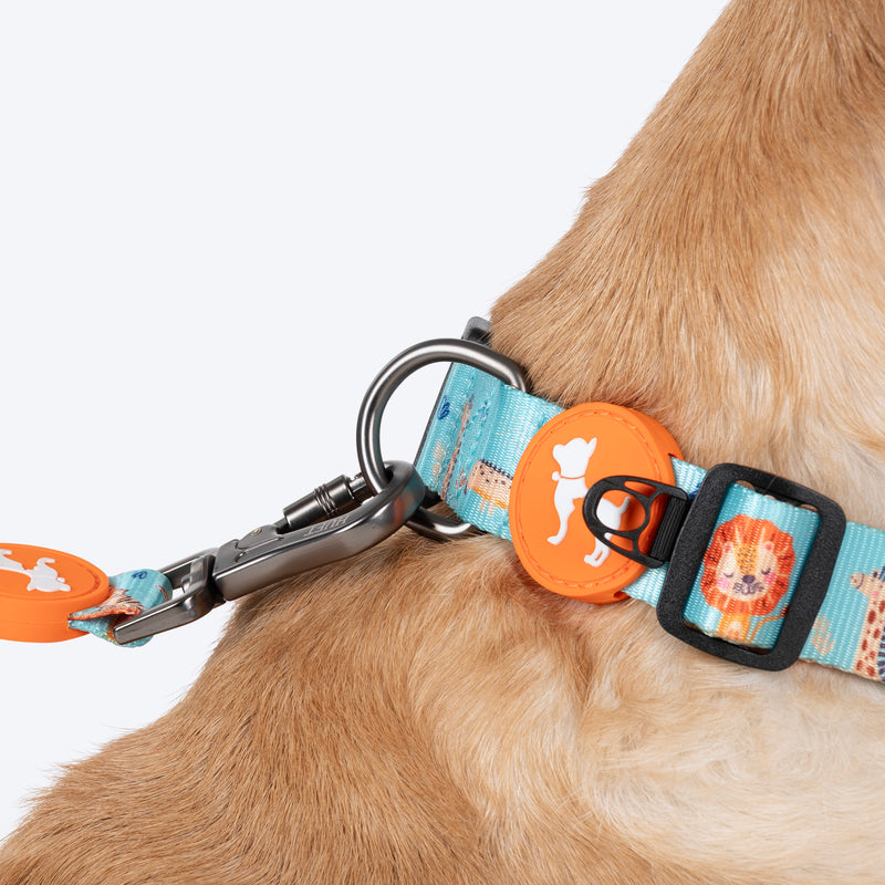 HUFT Jungle Safari Leash For Dog - Mint Green - Heads Up For Tails