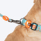 HUFT Jungle Safari Collar For Dog - Mint Green - Heads Up For Tails