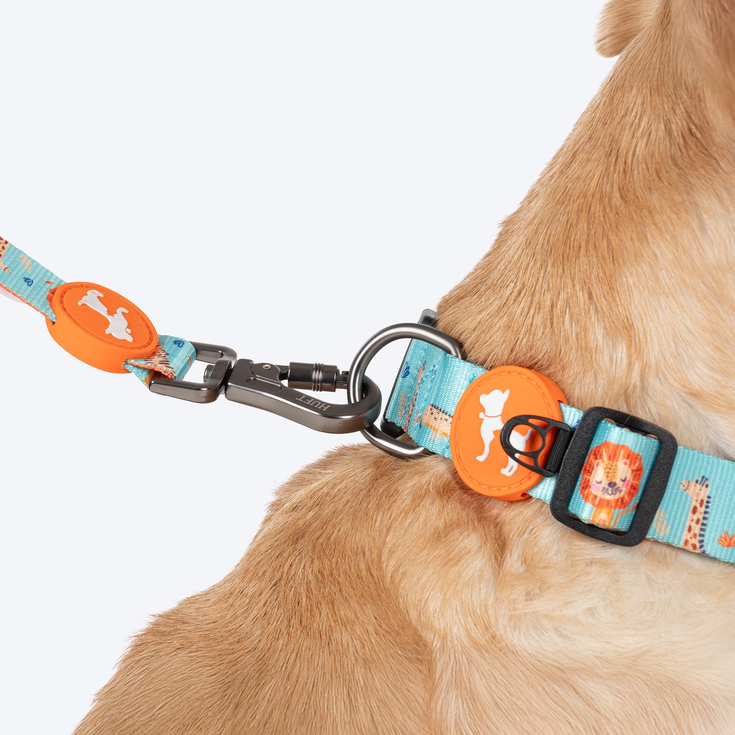 HUFT Jungle Safari Collar For Dog - Mint Green - Heads Up For Tails