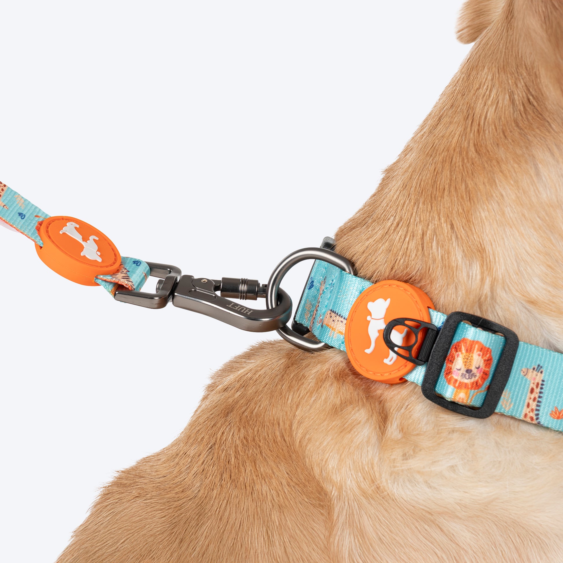 HUFT Jungle Safari Collar For Dog - Mint Green - Heads Up For Tails