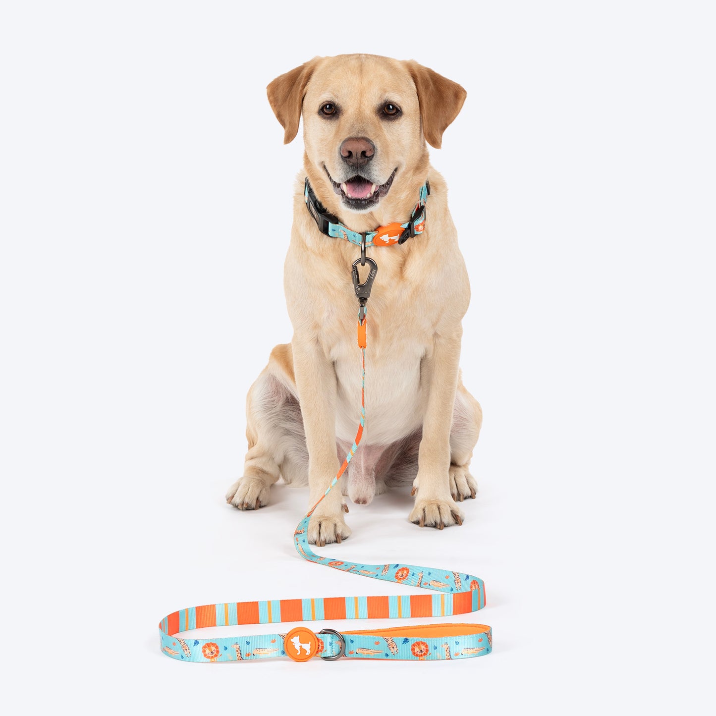 HUFT Jungle Safari Leash For Dog - Mint Green - Heads Up For Tails