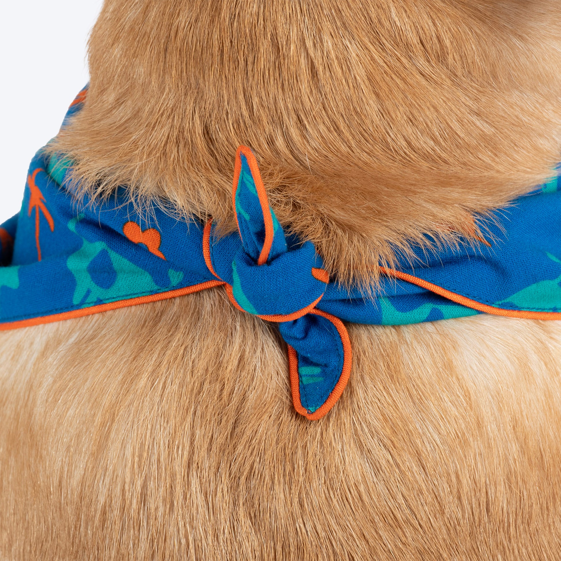 HUFT X Pinklay Strut In Stripes Knot Bandana For Dog - Blue & Orange - Heads Up For Tails