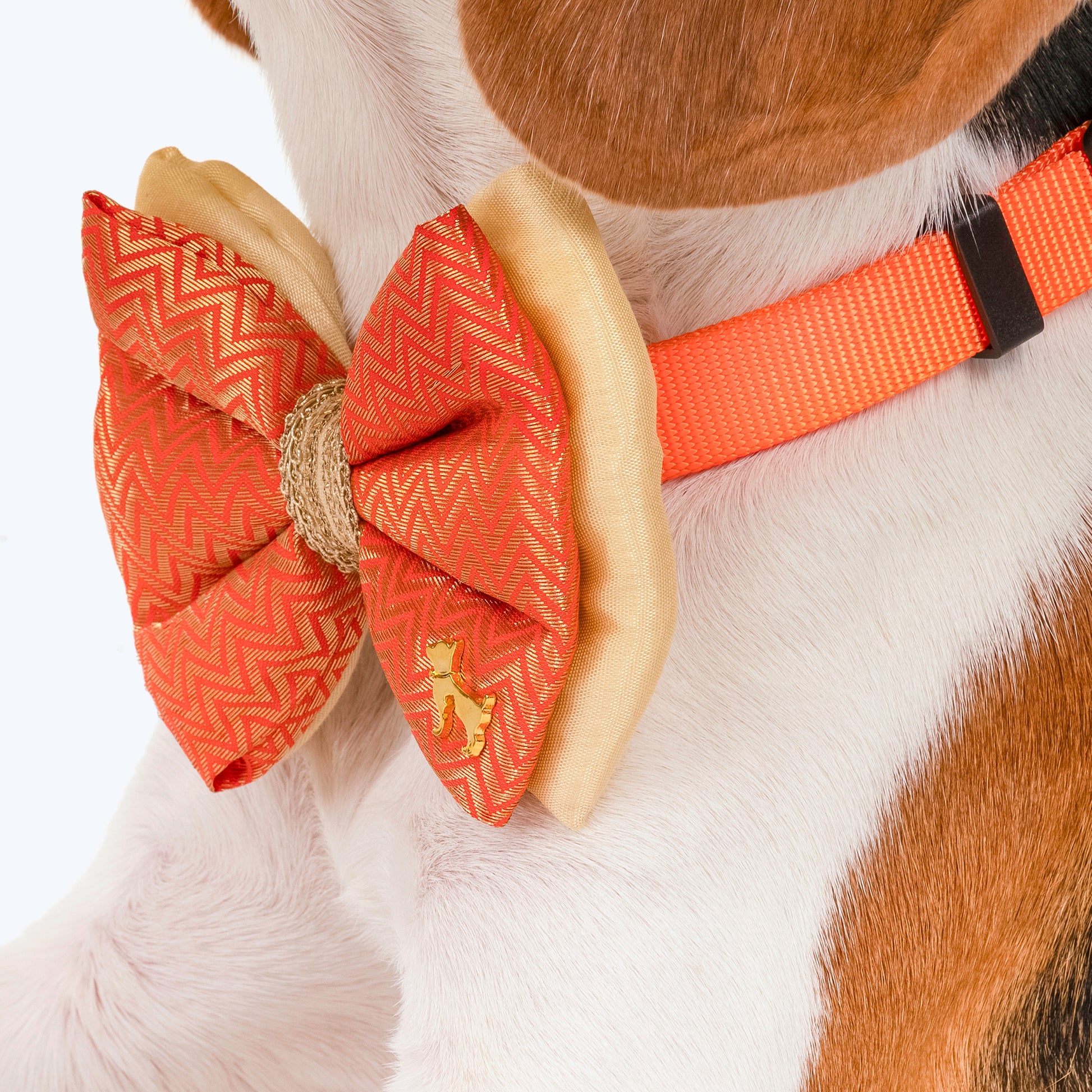 HUFT Festive Desi Glam Dog Bow Tie - Orange - Heads Up For Tails