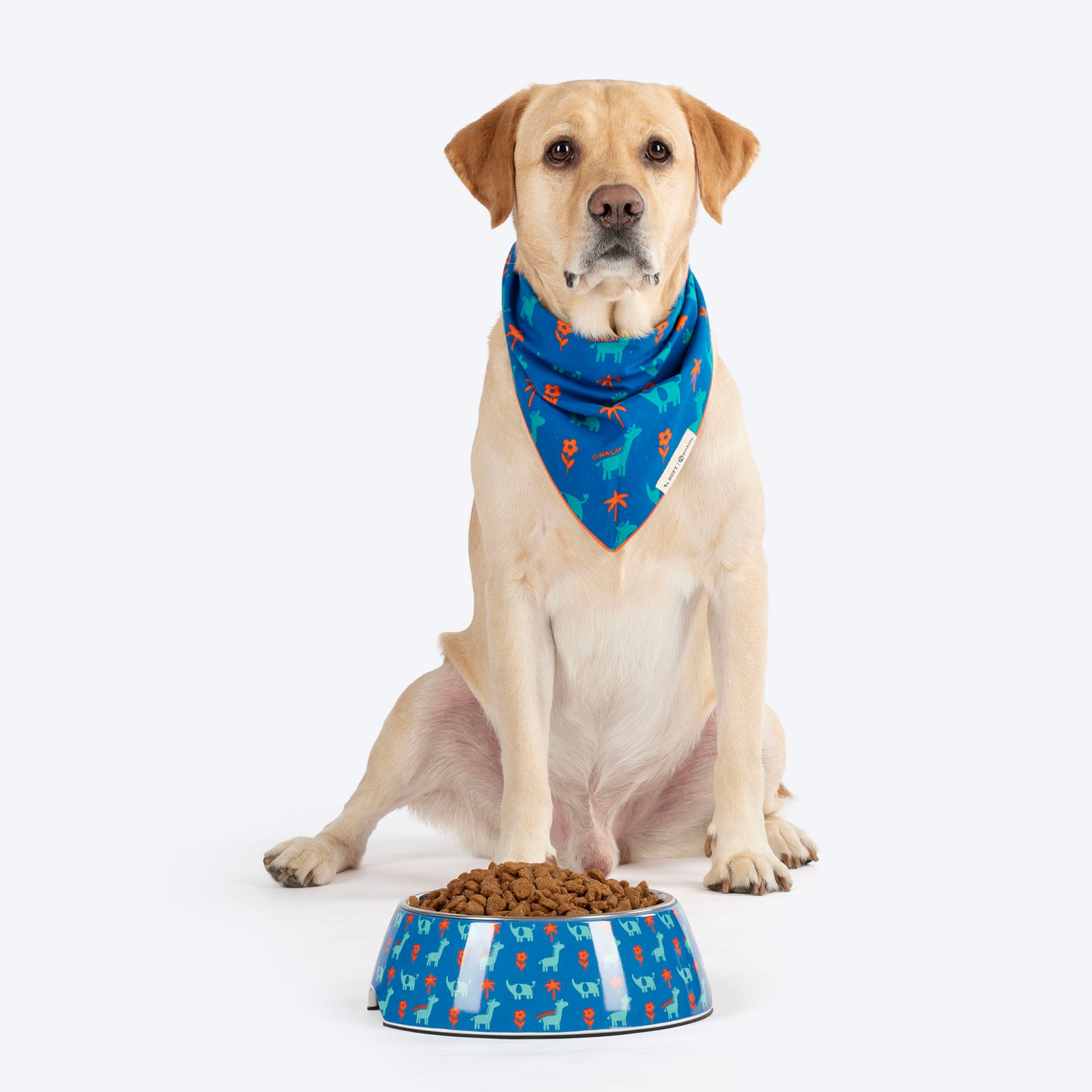 HUFT X Pinklay Jungle Joyride Printed Melamine Bowl With Steel Insert For Dog - Blue & Orange - Heads Up For Tails