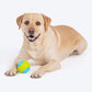 Dash Dog Squeaky Serve Tennis Ball Fetch Toy For Dog - Blue & Green_04