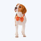 HUFT Festive Desi Glam Dog Bow Tie - Orange - Heads Up For Tails