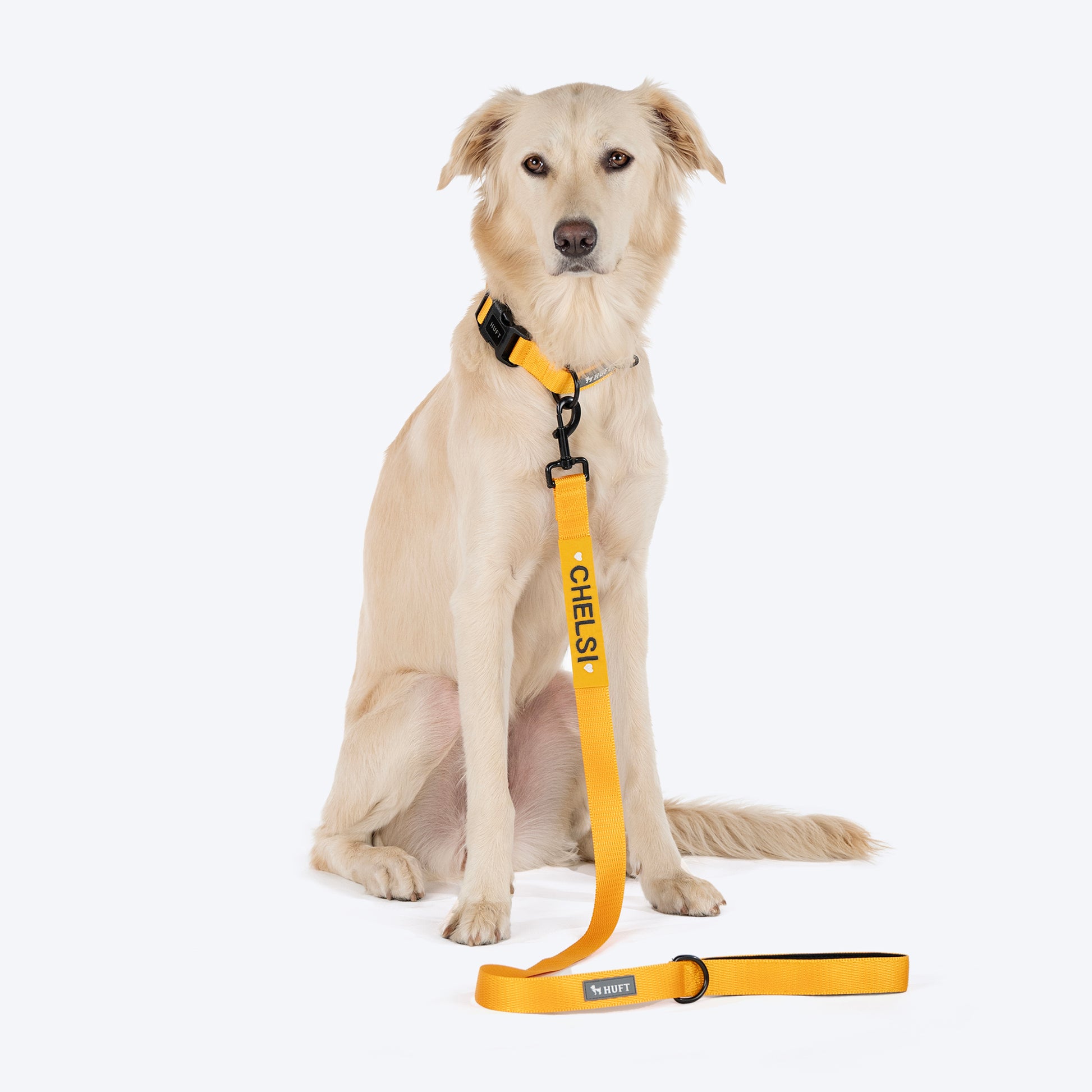 HUFT Personalised Basics Dog Leash - Yellow - Heads Up For Tails