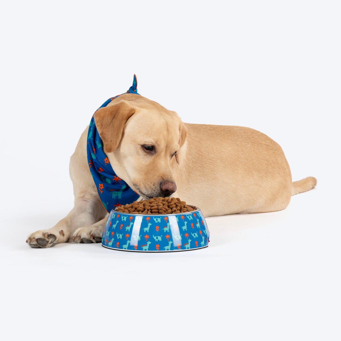 HUFT X Pinklay Jungle Joyride Printed Melamine Bowl With Steel Insert For Dog - Blue & Orange - Heads Up For Tails