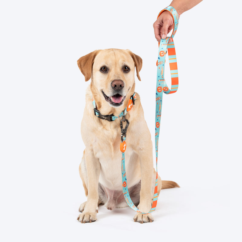 HUFT Jungle Safari Leash For Dog - Mint Green - Heads Up For Tails