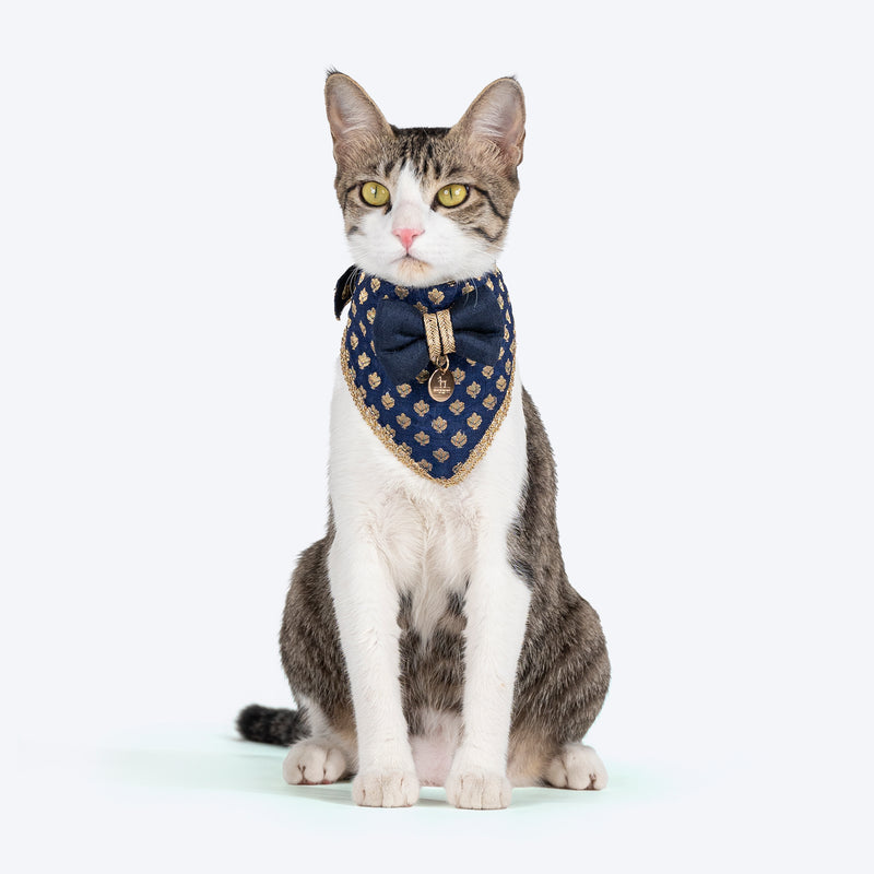 HUFT Brocade Dazzle Pet Scarf For Cat & Puppy - Blue - Heads Up For Tails