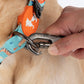 HUFT Jungle Safari Collar For Dog - Mint Green - Heads Up For Tails