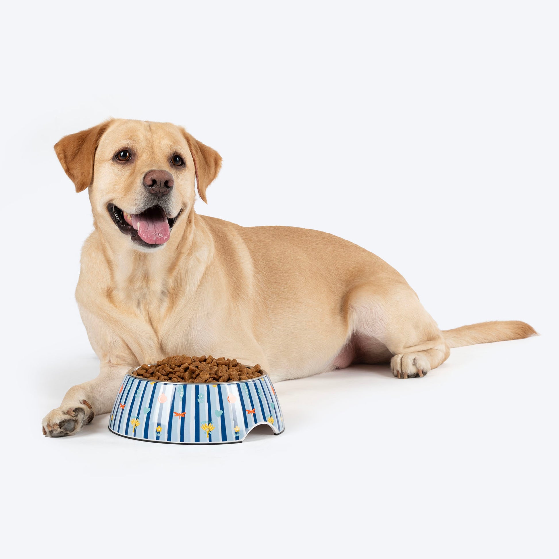 HUFT X Pinklay Strut In Stripes Printed Melamine Bowl With Steel Insert For Dog - Blue - Heads Up For Tails