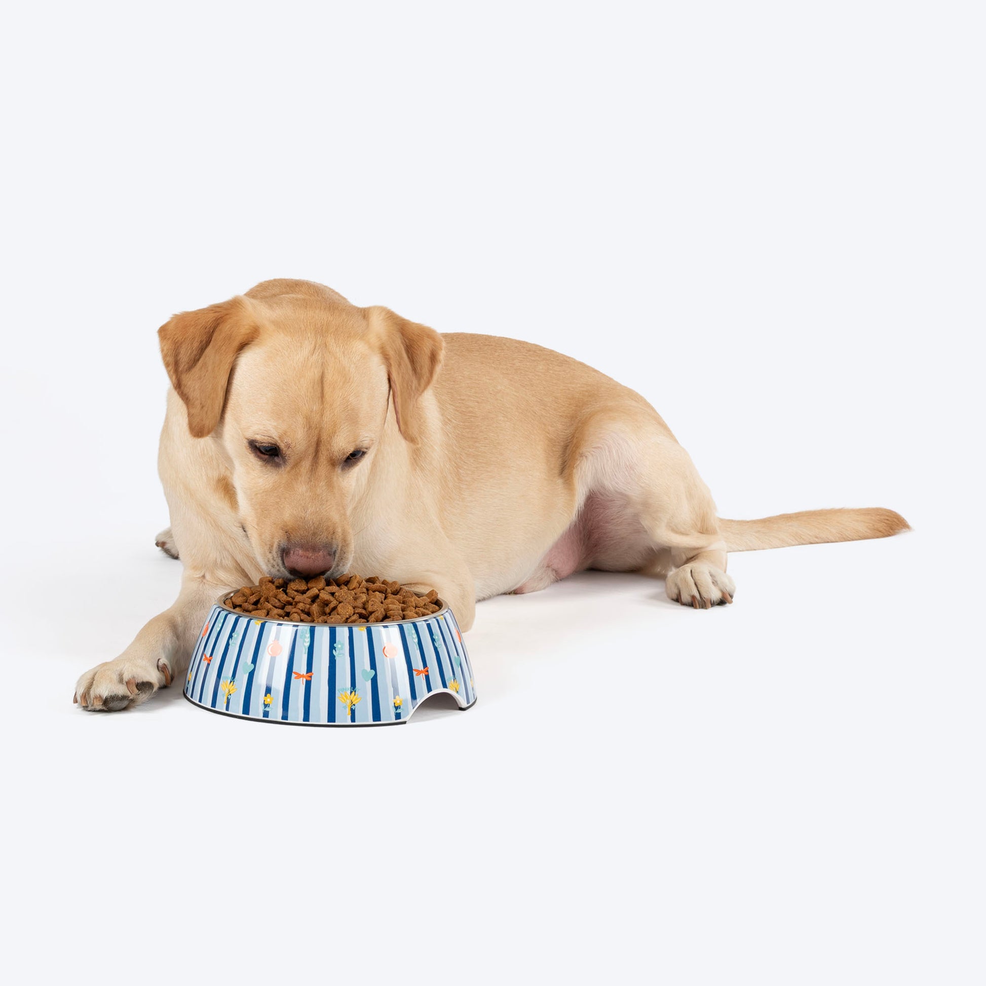 HUFT X Pinklay Strut In Stripes Printed Melamine Bowl With Steel Insert For Dog - Blue - Heads Up For Tails