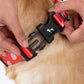 HUFT Berry Bliss Collar For Dog - Red - Heads Up For Tails