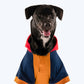 HUFT Colour Block Hoodie Sweatshirt For Pets- Mustard - Heads Up For Tails
