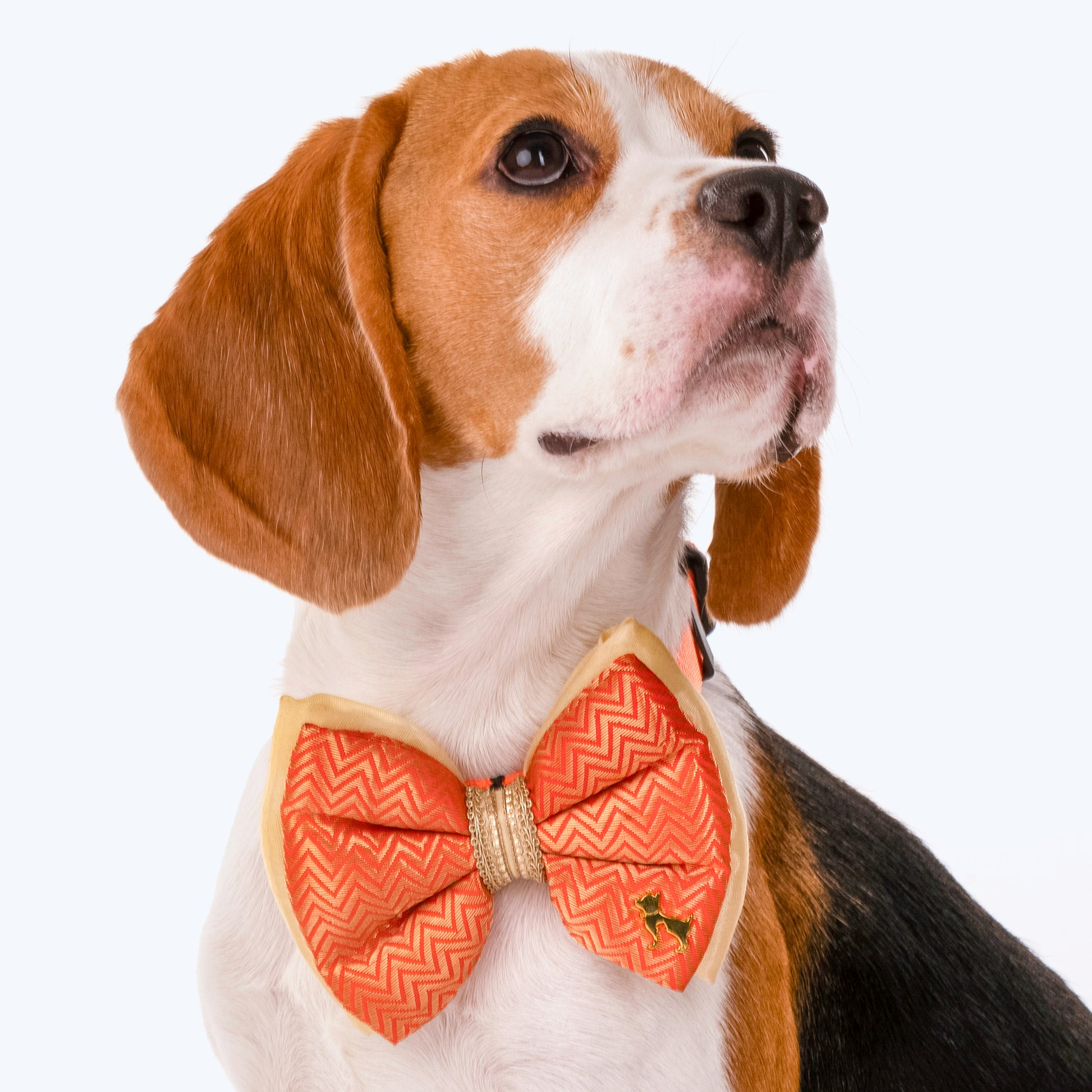 HUFT Festive Desi Glam Dog Bow Tie - Orange - Heads Up For Tails