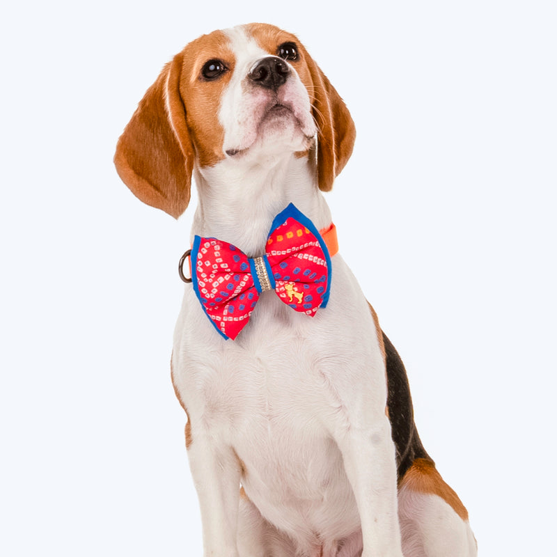 HUFT Festive Bandhej Bling Dog Bow Tie - Pink & Blue - Heads Up For Tails