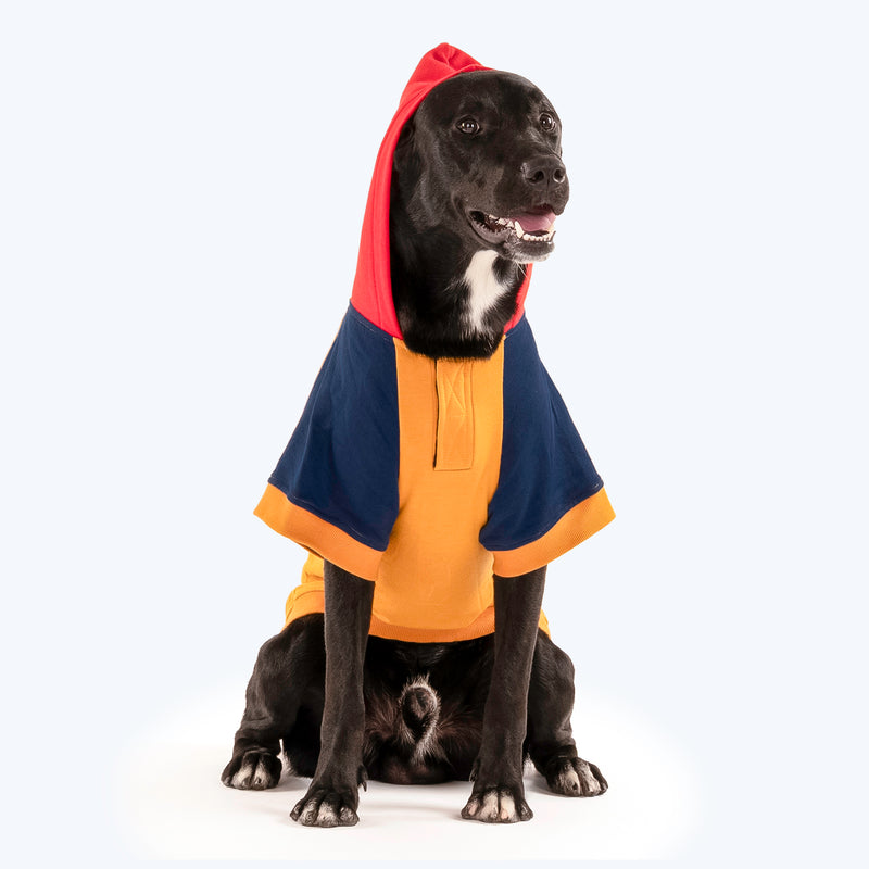 HUFT Colour Block Hoodie Sweatshirt For Pets- Mustard - Heads Up For Tails