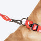 HUFT Berry Bliss Collar For Dog - Red - Heads Up For Tails