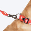 HUFT Berry Bliss Collar For Dog - Red - Heads Up For Tails