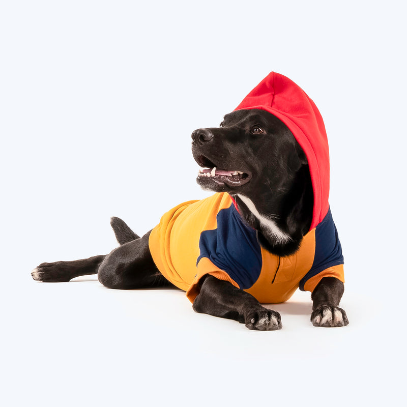 HUFT Colour Block Hoodie Sweatshirt For Pets- Mustard - Heads Up For Tails