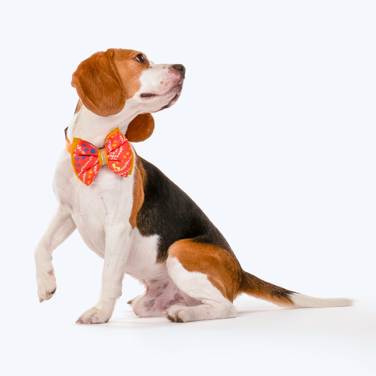 HUFT Festive Bandhej Bling Dog Bandana - Orange - Heads Up For Tails