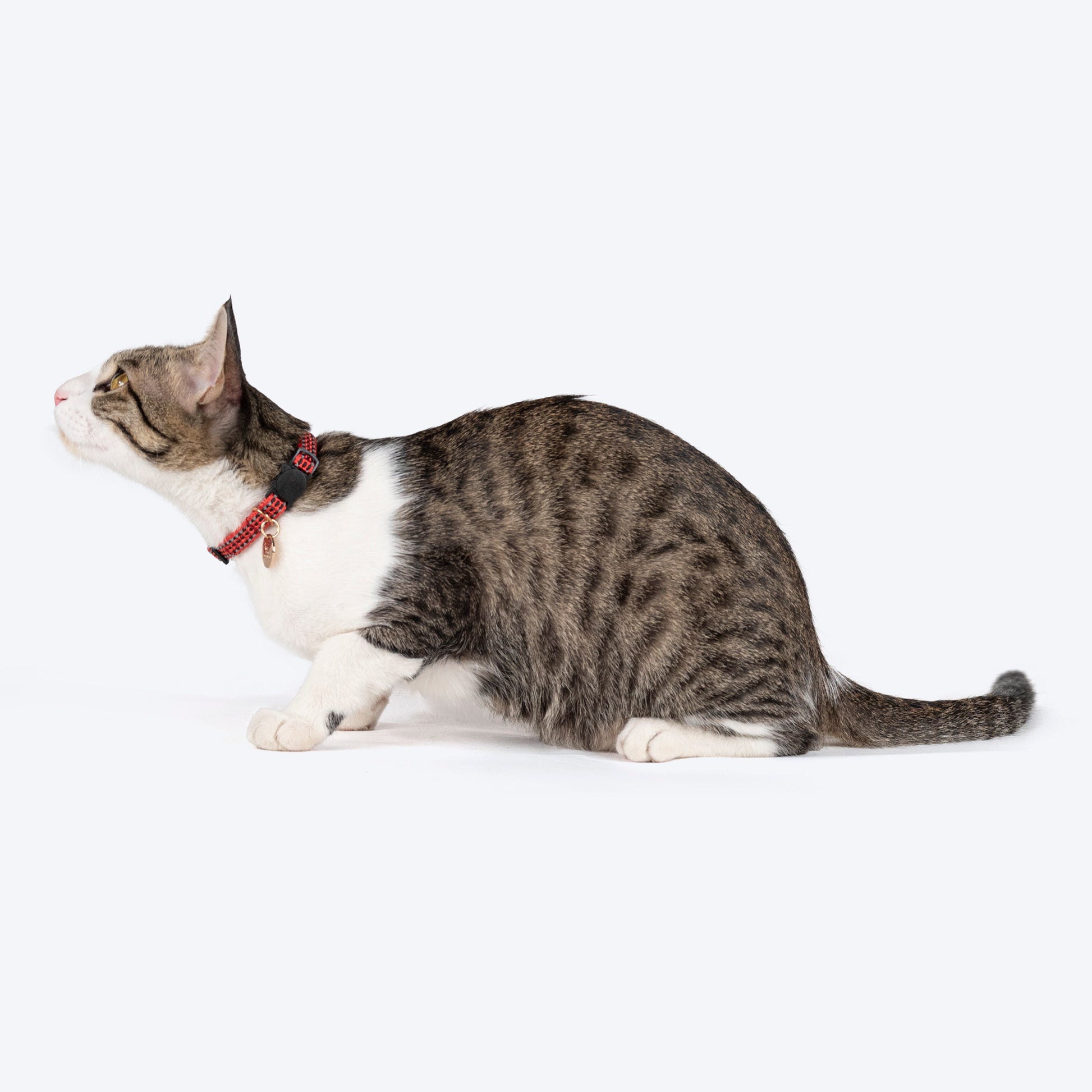 HUFT Reflective Collar For Cat - Red & Yellow - 2 pcs - Heads Up For Tails