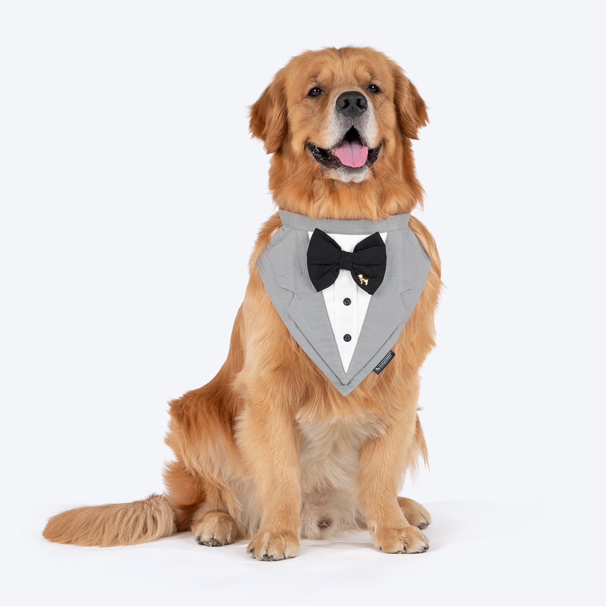 HUFT Pooch in a Suit Bandana For Dog - Grey - Heads Up For Tails