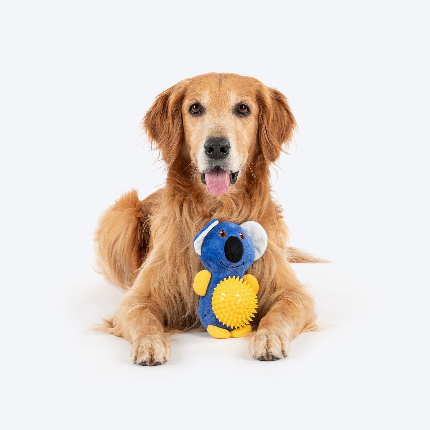 HUFT Big Belly Koala Chew Toy For Dog  - Blue