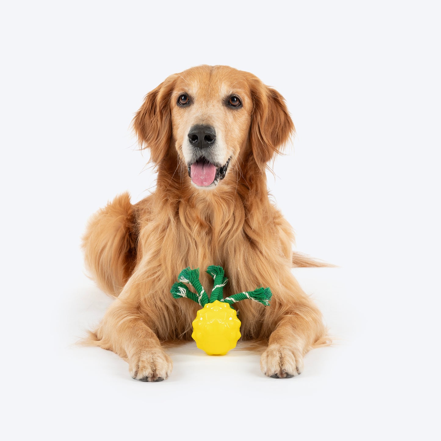 HUFT Squeakie Fruitie Chew Toy For Dog - Yellow