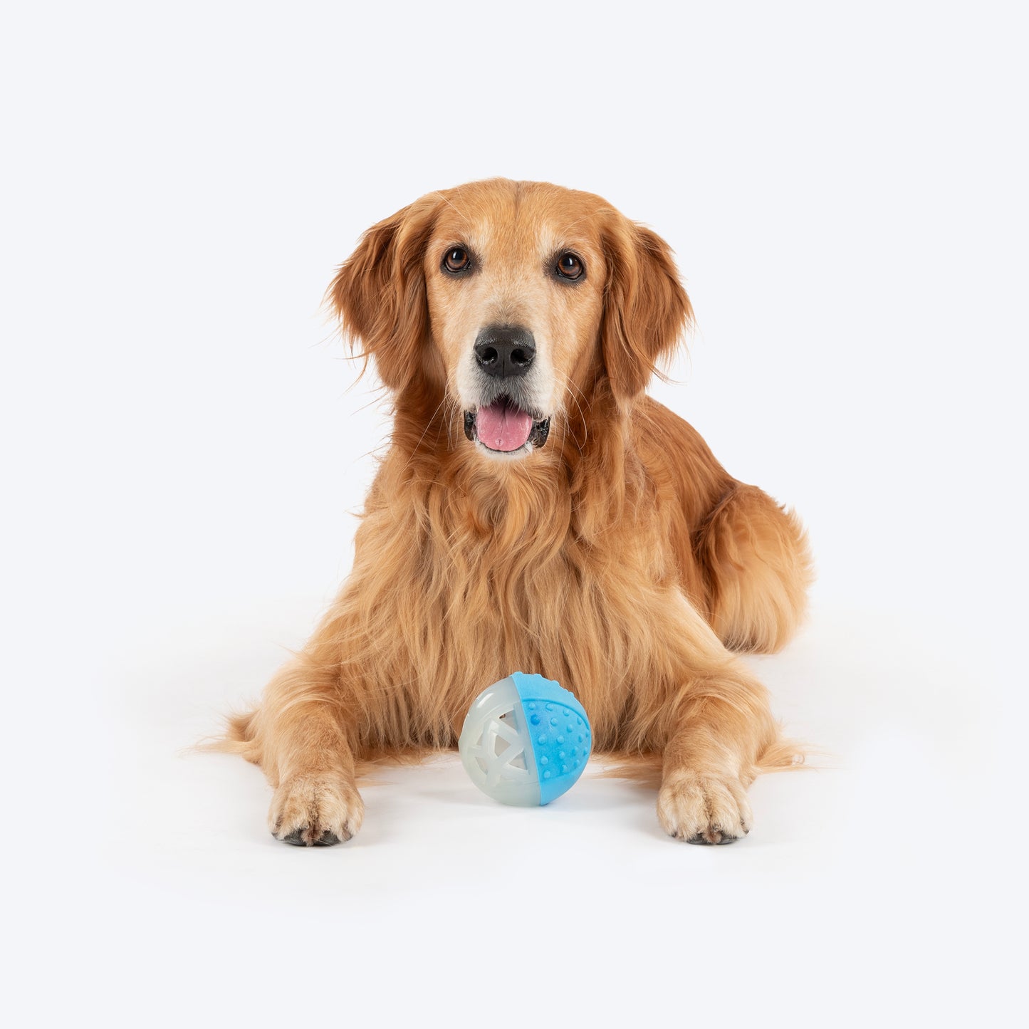 Dash Dog Glowy Squeaky Ball Toy For Dog - Blue