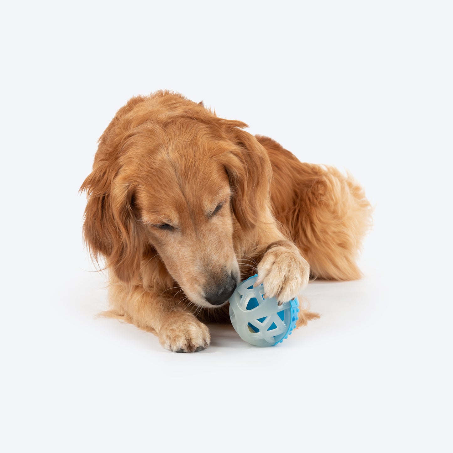Dash Dog Glowy Squeaky Ball Toy For Dog - Blue