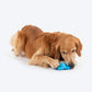 Dash Dog Glowy Starfish Squeaky Chew Toy For Dog - Blue