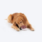 Dash Dog Hedgehog Squeaky Chew Toy For Dog - Brown