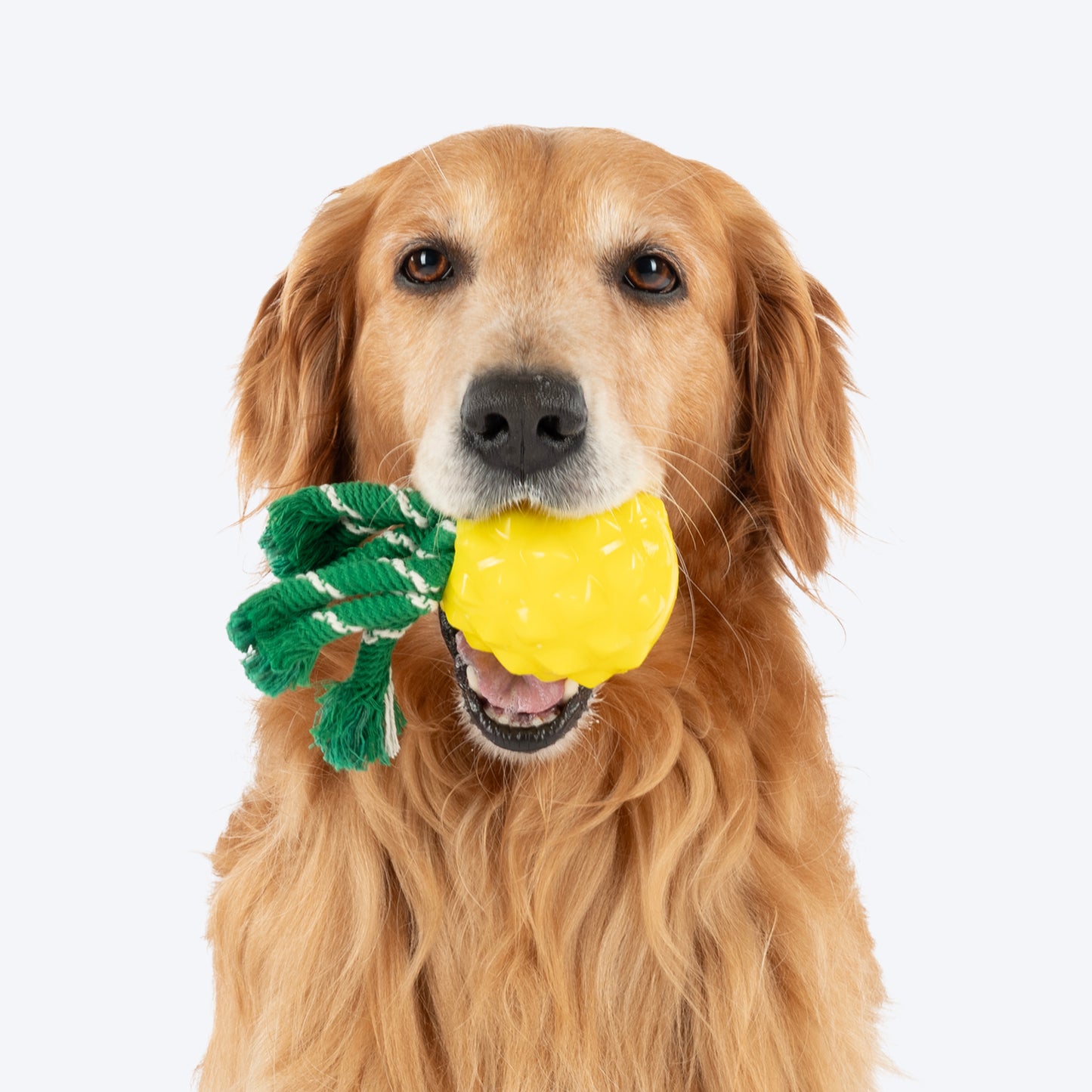 HUFT Squeakie Fruitie Chew Toy For Dog - Yellow