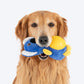 HUFT Big Belly Koala Chew Toy For Dog  - Blue