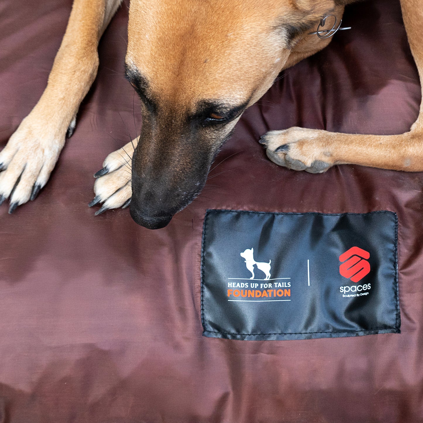 HUFT Foundation X SPACES Bed For Streeties - Brown