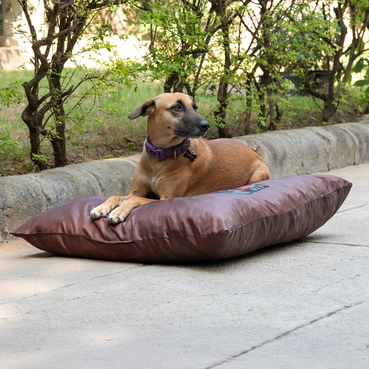 HUFT Foundation X SPACES Bed For Streeties - Brown - Heads Up For Tails