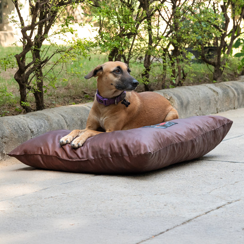 HUFT Foundation X SPACES Bed For Streeties - Brown - Heads Up For Tails
