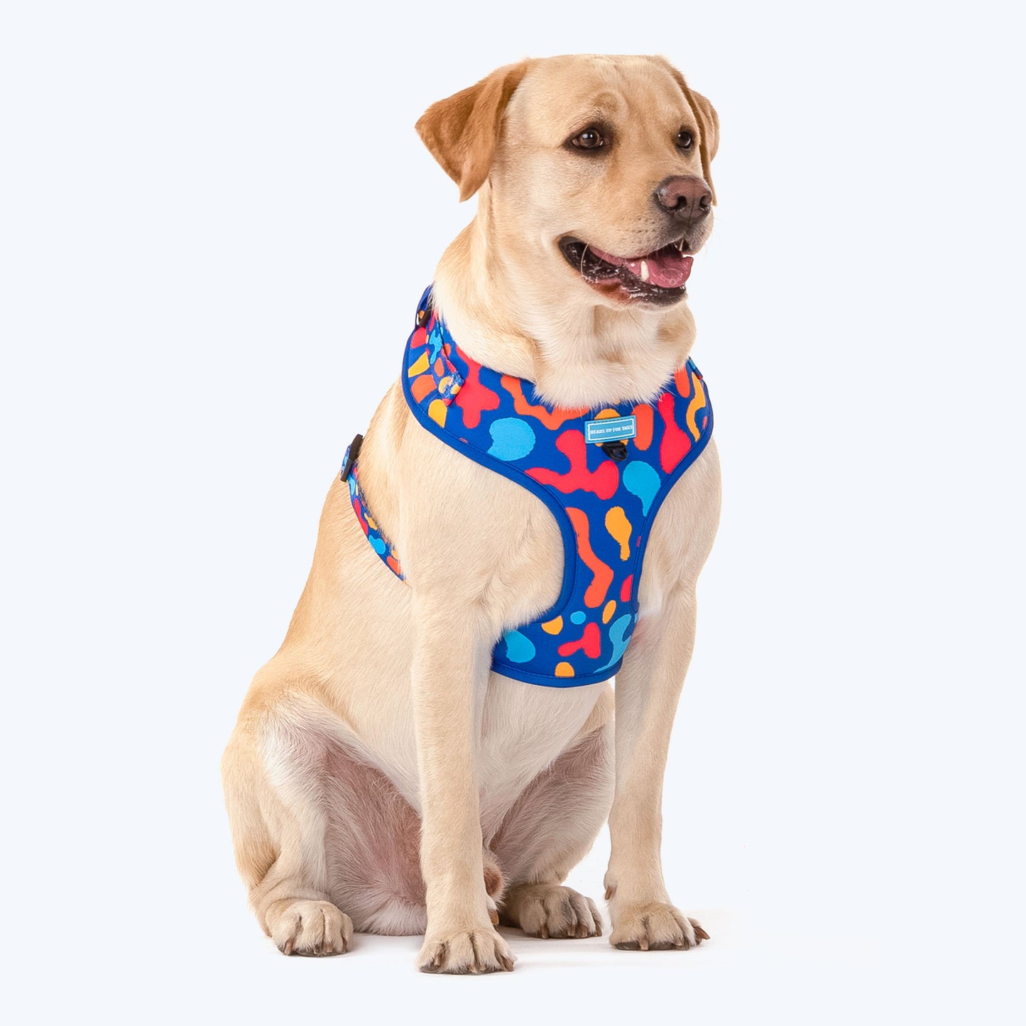 HUFT Colour Craze Dog Adjustable Harness_01