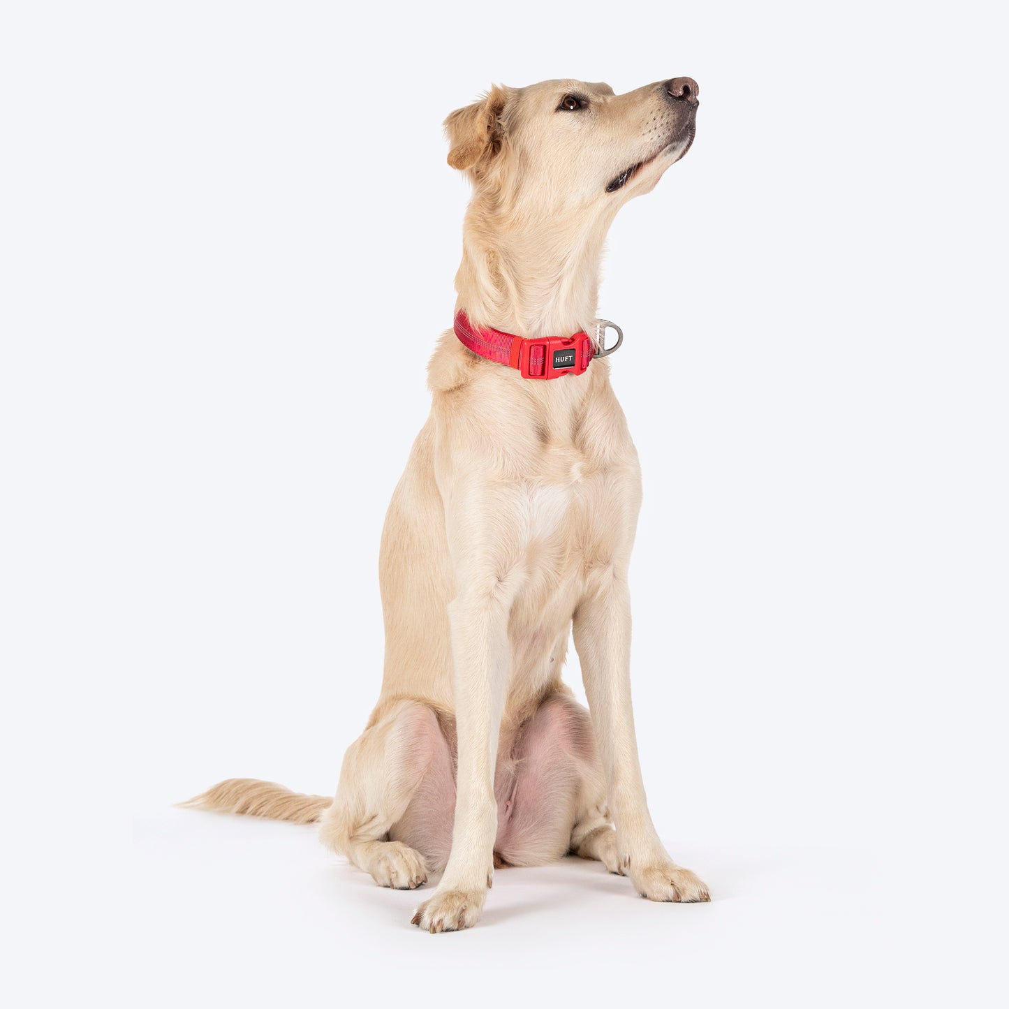 HUFT Comfort Plus Collar For Dog - Red