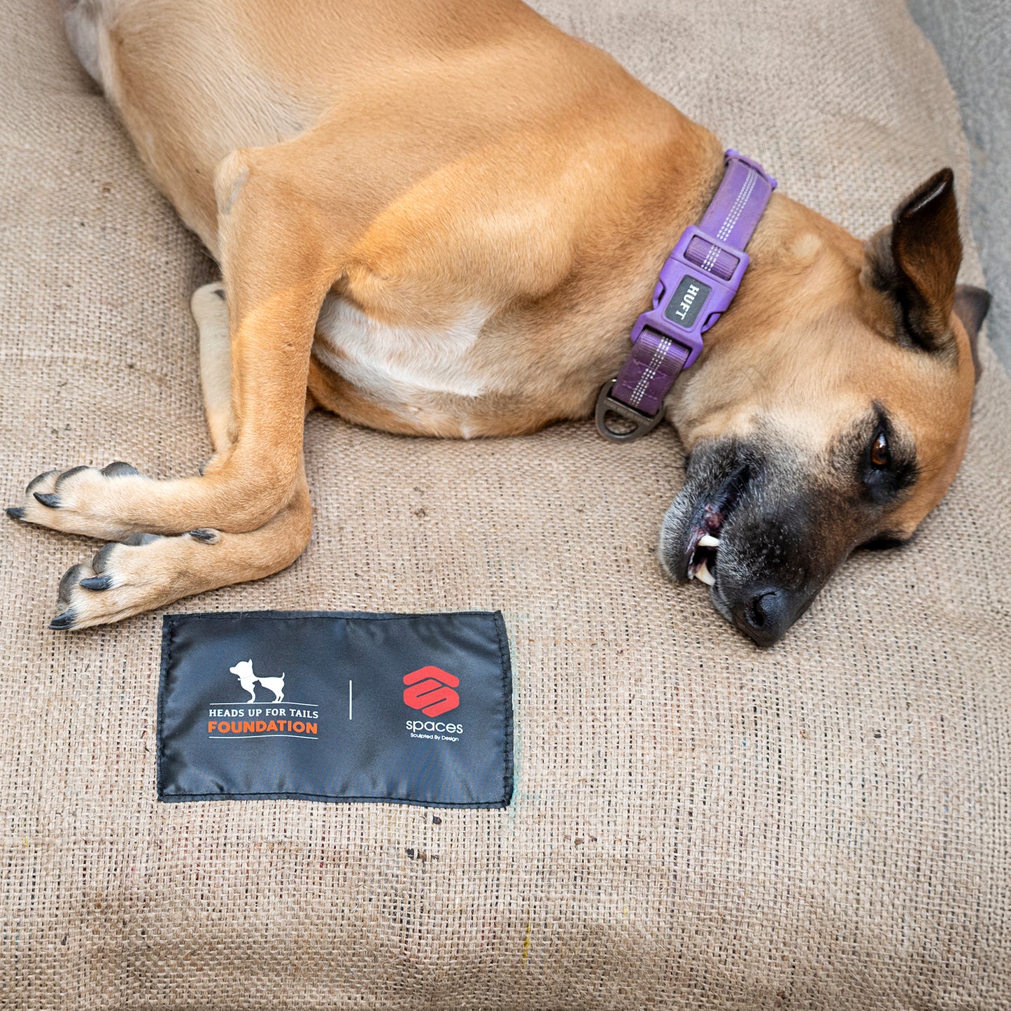 HUFT Foundation X SPACES Gunny Bed For Streeties - Brown