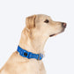 HUFT Comfort Plus Collar For Dog - Blue