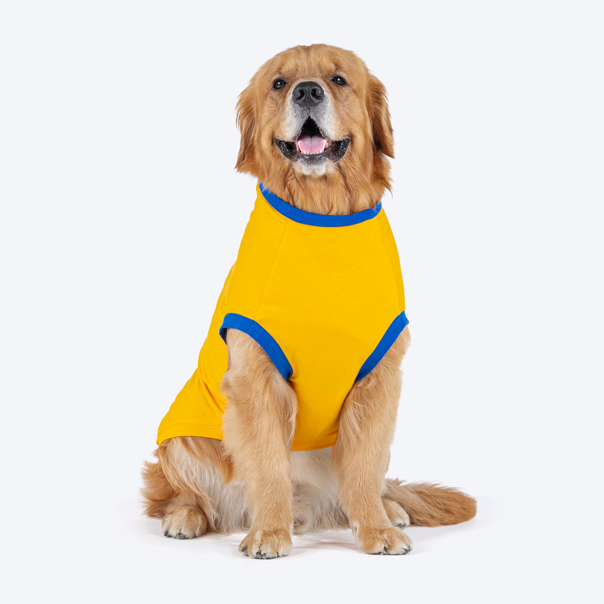 HUFT Pawsitively Adorable T-Shirt For Dogs - Yellow - Heads Up For Tails